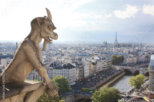 Notre Dame Paris France gargoyles 