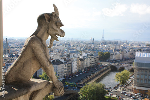Notre Dame Paris France gargoyles 