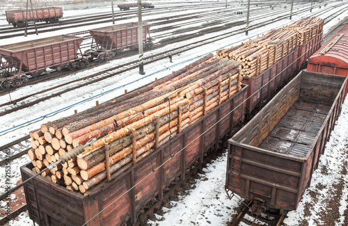 Freight wagons with logs and empty wagons