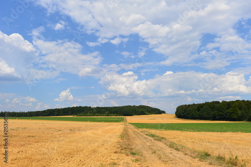 Abgeerntetes Getreidefeld in der Wetterau photo