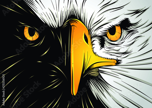 Powerful Eagle Face