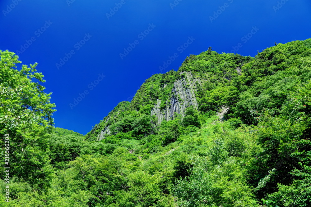 夏の秋山郷布岩