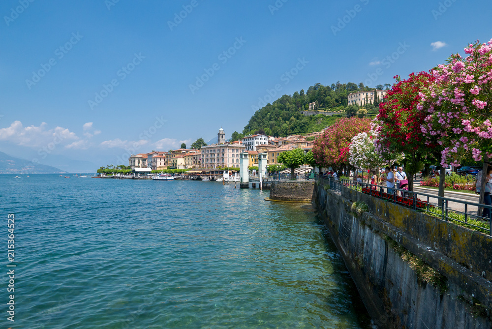 Obraz premium Bellagio lakefront with trees in bloom on Lake Como