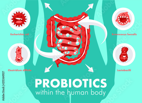 Probiotics in human body