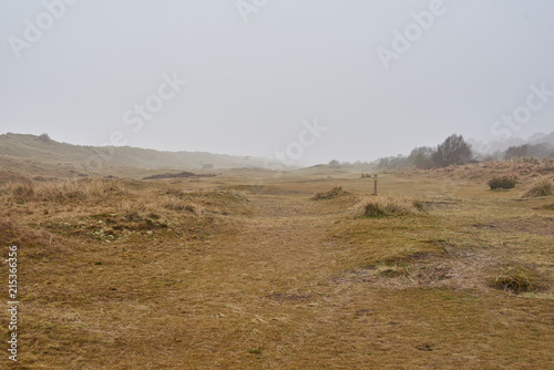 misty moorland landscape