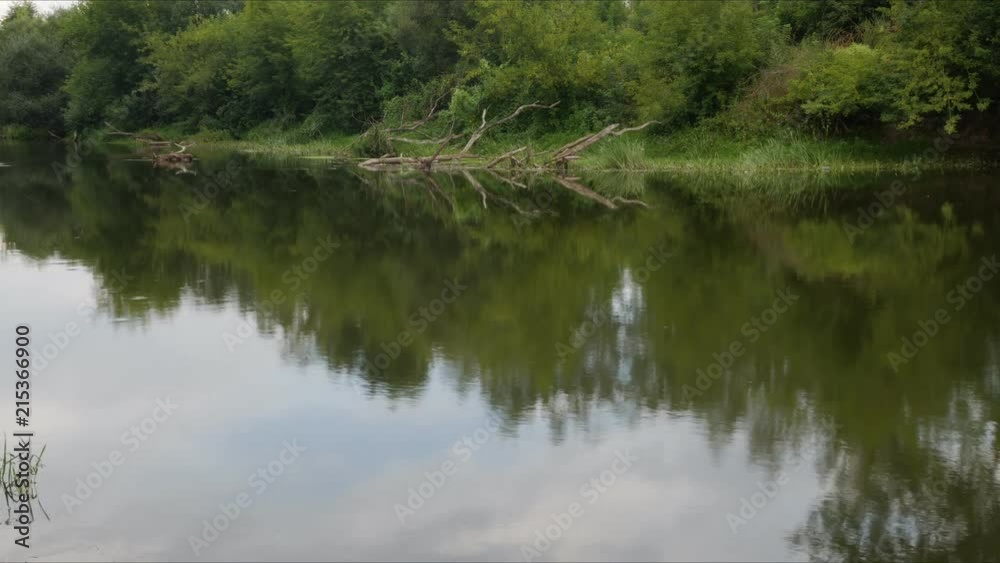 Rivchga gorin, quiet stream in the woods Timelapse Rivchga gorin, quiet stream in the woods Timelapse
