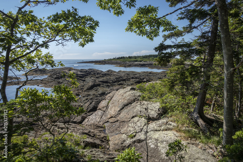 Rocky Maine Coastline Through the Trees