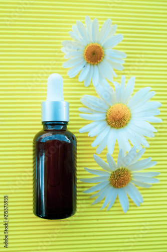 Bottles with daisy  oil, flat lay, bio, organic , nature cosmetics concept