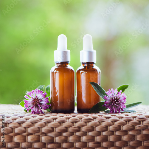 Bottles with clover oil, fresh flower clover and leaves on a natural green background, bio, organic , nature cosmetics concept
