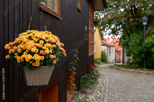 Schilderij op canvas Street in the old part of Vasteras town with traditional wooden houses, Sweden