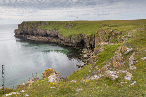 Stackpole Head as seen from the Pembroke Coast Path, Wales, UK