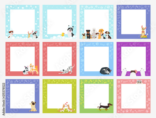 video and photo frame background