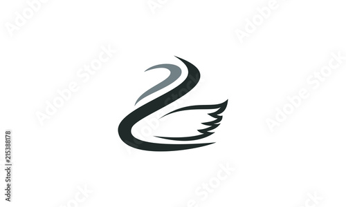 swan black vector