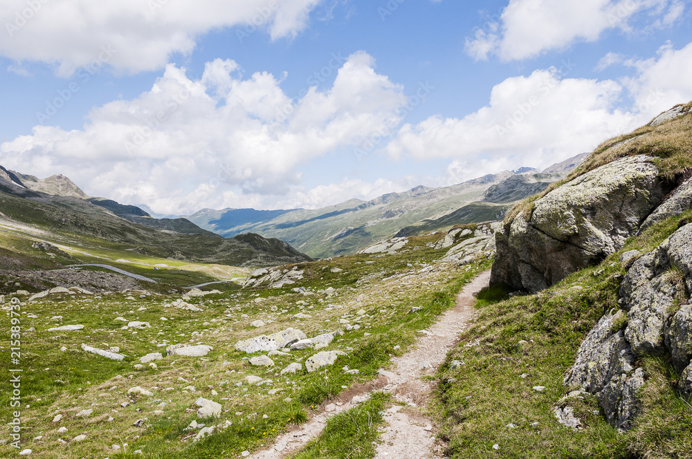 Obraz premium Flüela, Flüelapass, Passhöhe, Susch, Bergstrasse, Passstrasse, Alpen, Wanderweg, Sommerwanderung, Unterengadin, Graubünden, Sommer, Schweiz