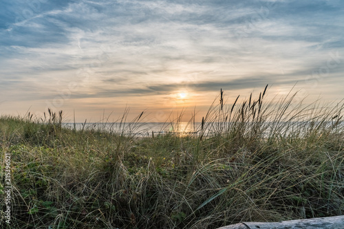 Pastel sunset over dunes vegetation and North Sea photo