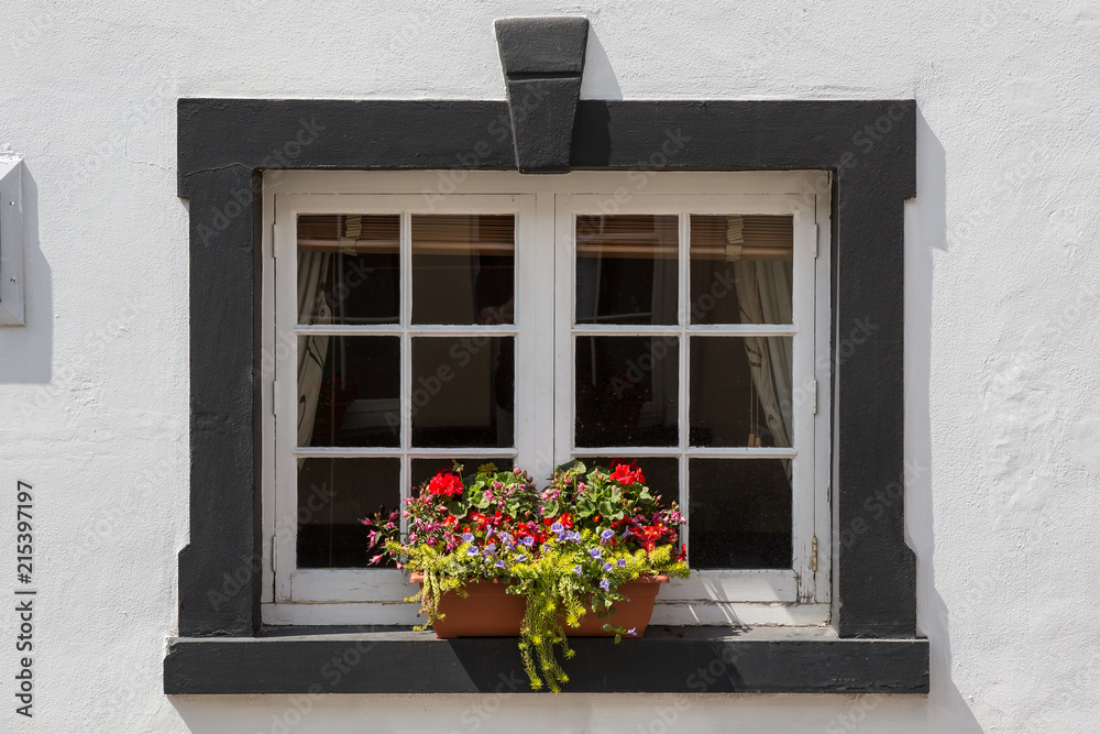 Small window box with beautiful flowers outside a black framed window