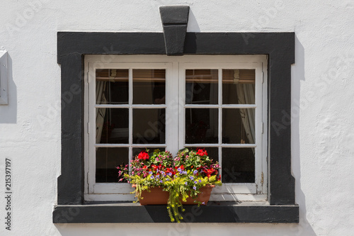 Small window box with beautiful flowers outside a black framed window © Michael Evans