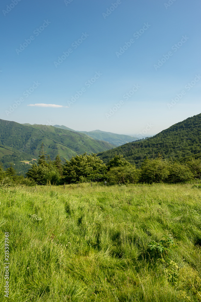 The way of santiago between valcarlos and roncesvalles