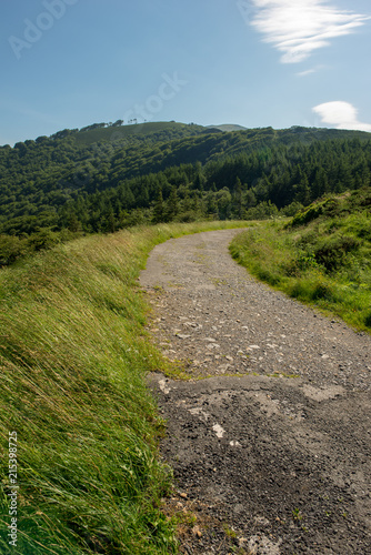 The way of santiago between valcarlos and roncesvalles