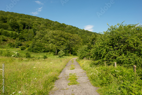 The way of santiago between valcarlos and roncesvalles © vicenfoto