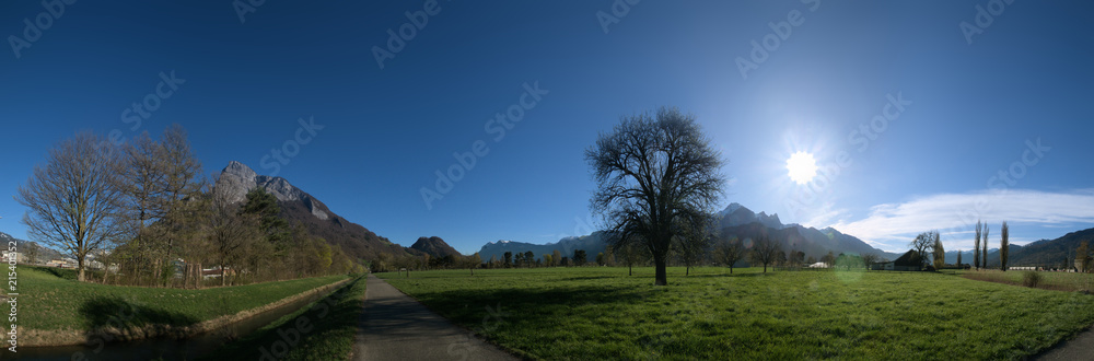 Floor of the Swiss Rhine valley near Sargans, showing Gonten, Falknis and backlit pear tree Floor of the Swiss Rhine valley near Sargans, showing Gonten, Falknis and backlit pear tree
