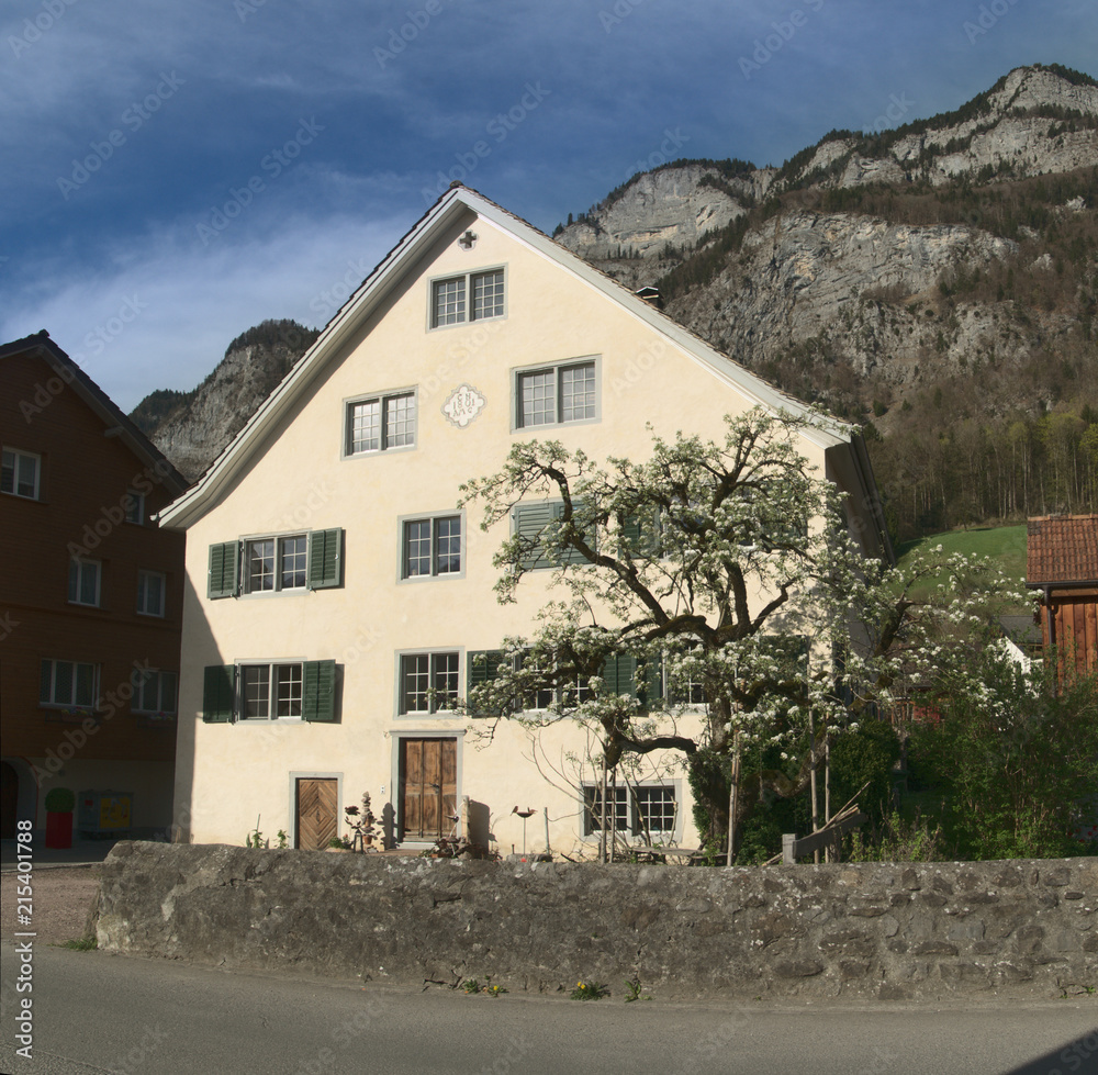 Grand residence in the Swiss alpine village of Berschis, Walenstadt