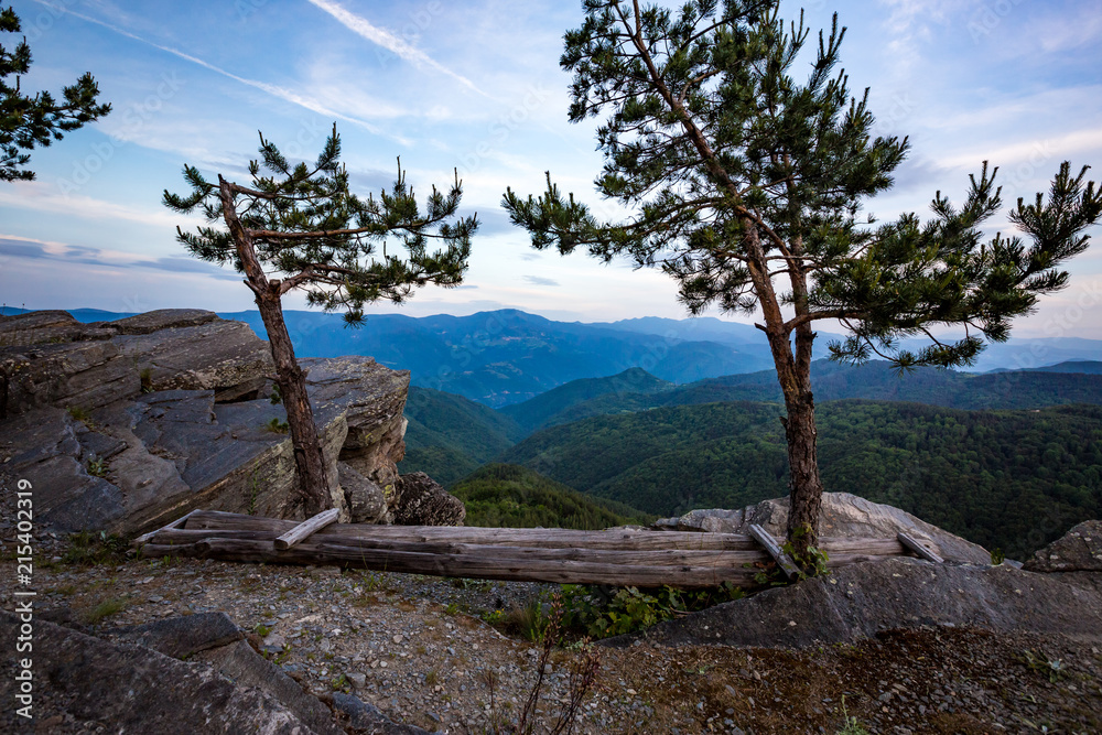 Calm scenery springtime very green landscape, high point picturesque view with hand-made wooden bench, two trees and rocks in Rhodope mountain near village of Ravnogor in Pazardzik county, Bulgaria