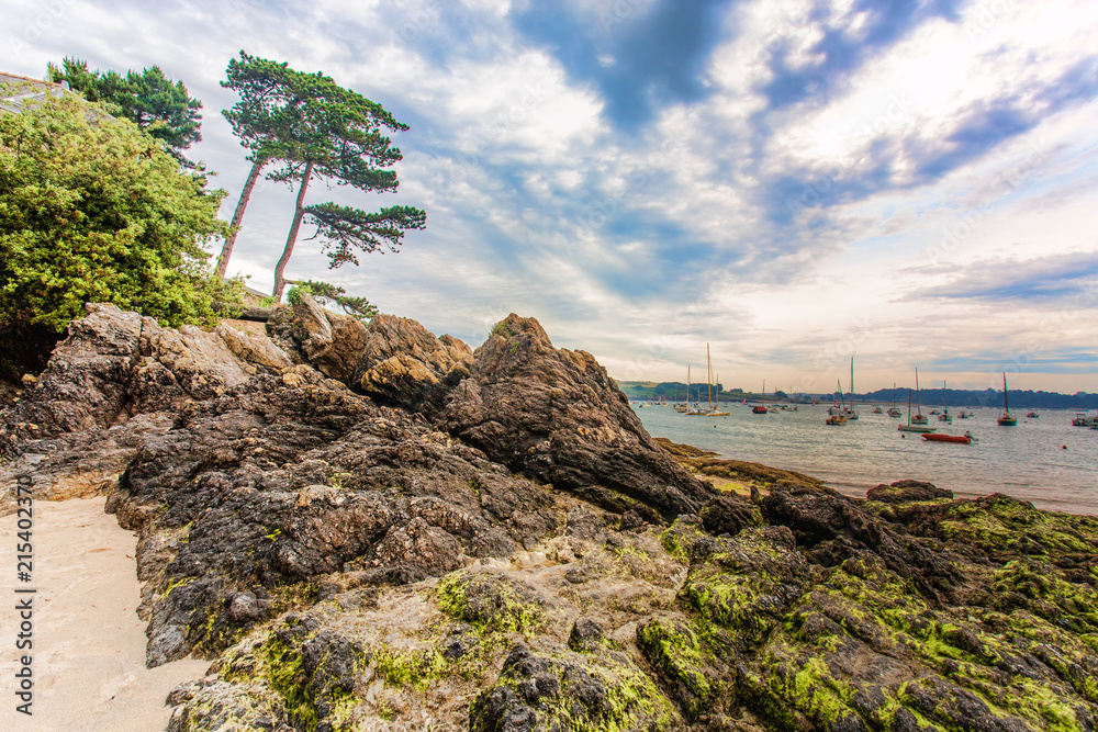 Obraz premium Beach, stones and trees in Saint Malo, France