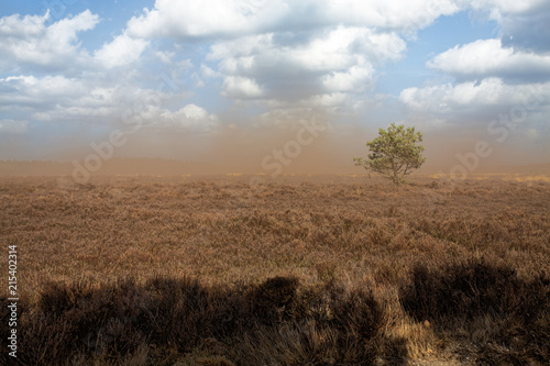 Dust storm op de Uddelse heide