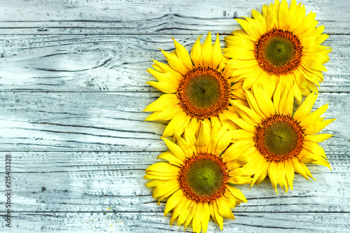 autumn background with sunflowers on a wooden board