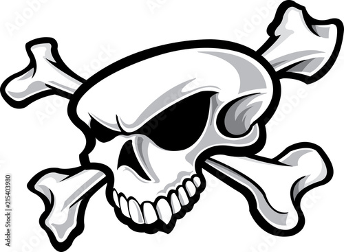Skull