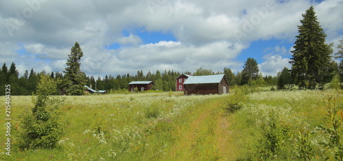 Idyllic blossoming meadow with several farm buildings in Vaesterbotten in Sweden photo