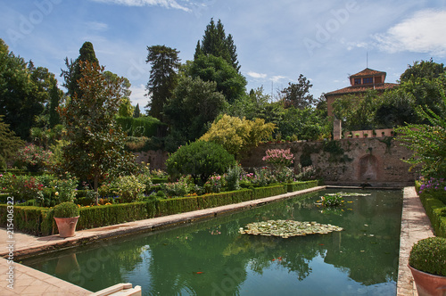 Andalousie - Alhambra bassin