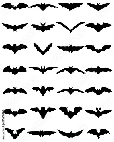 Big set of black silhouettes of bats, vector
