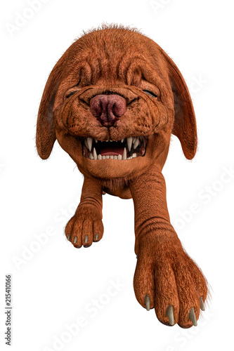 dogue de bordeaux, bordeaux mastiff, french mastiff or bordeauxdog in a white background 

 photo