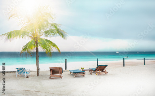 Beautiful tropical beach with white sand  palm trees. The coast of the Indian Ocean. Zanzibar. Tanzania