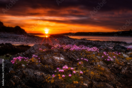 Sunset over Clonakilty from Dunmore photo