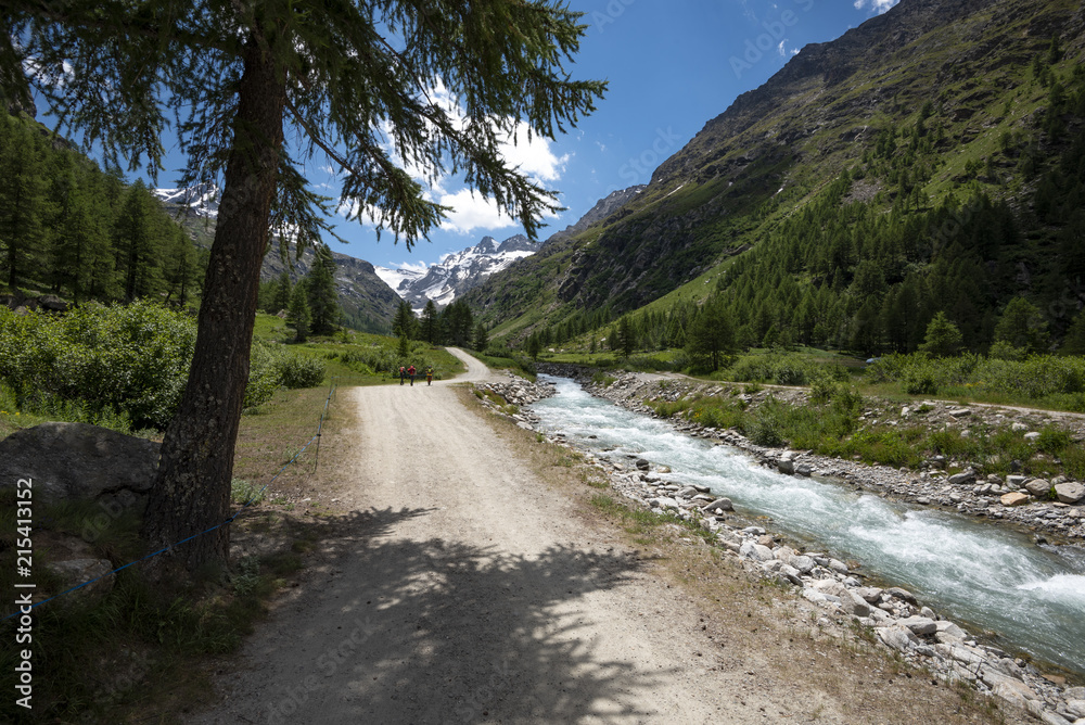 Gran Paradiso National Park, Aosta valley, Italy