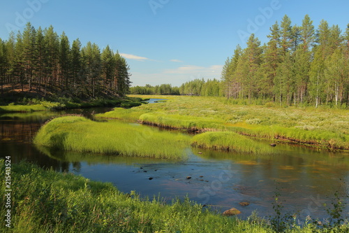 Stream at Svansele Dammaenger, a former water-meadow in Sweden