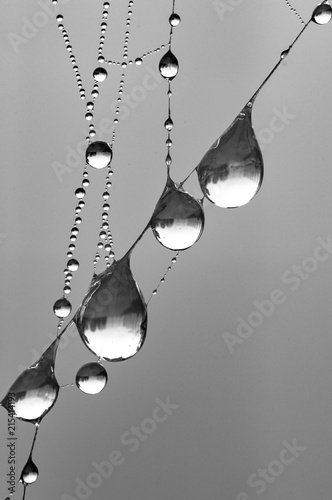 drops © Rastislav