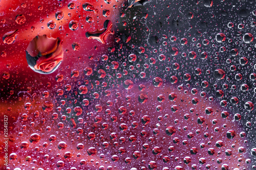 reflection of a rose in a rain drop