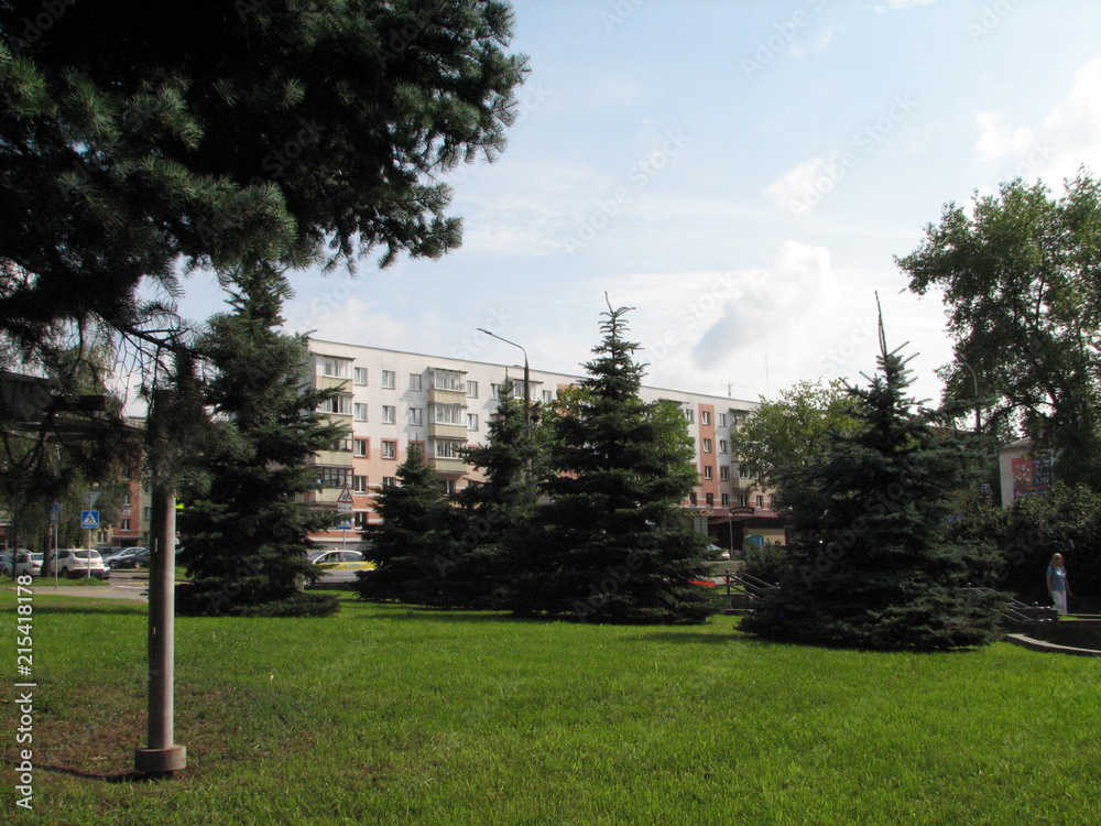 Obraz premium park