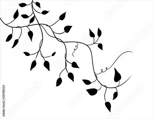 ivy vine vector design element for border and corners, fancy elegant wedding announcement or invitation floral vector design,  can change colors photo