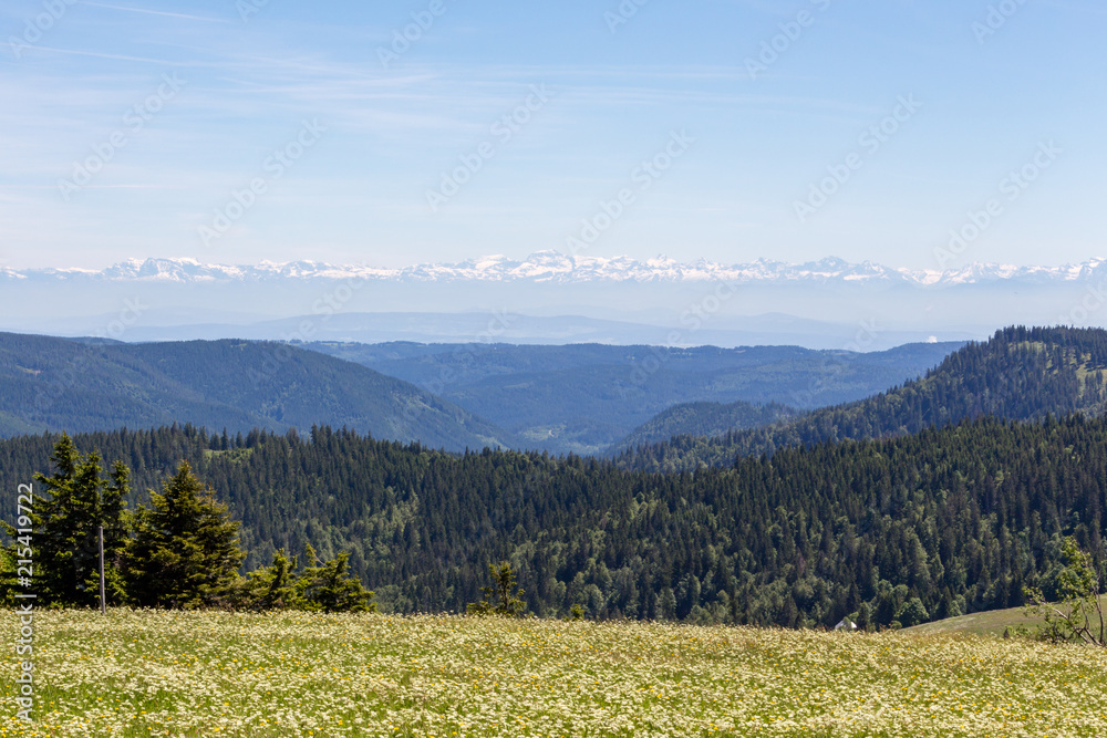 Fototapeta premium Panorama perspektywy Feldberga