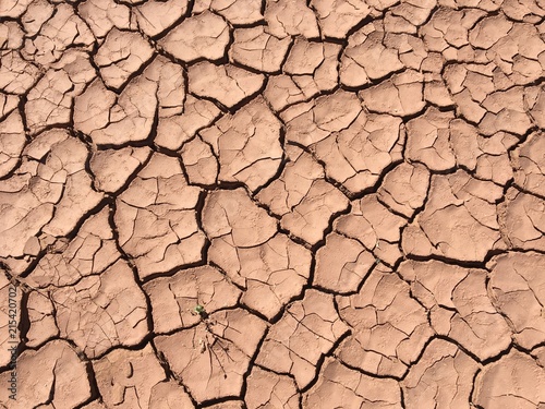 Sécheresse dans le désert d’Atacama 