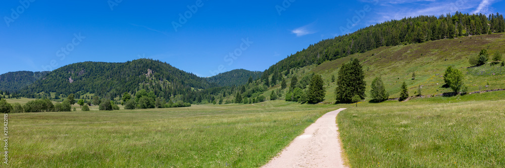 Menzenschwand-Hinterdorf Menzenschwand-Hinterdorf