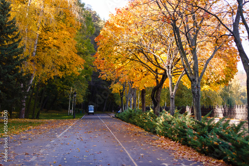 Beautiful romantic alley in a park with colorful trees and sunlight. autumn natural background