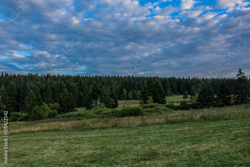 Abendstunden auf dem Rennsteig  photo