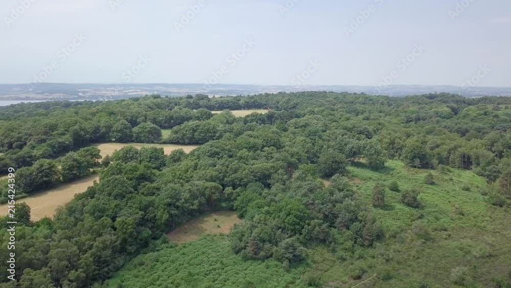 Aerial Pan of a forest landscape in Devon, UK Aerial Pan of a forest landscape in Devon, UK