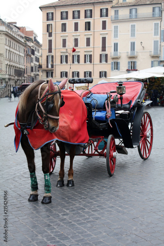 Coach with horse in Rome. Spagna square Rome. Italy
